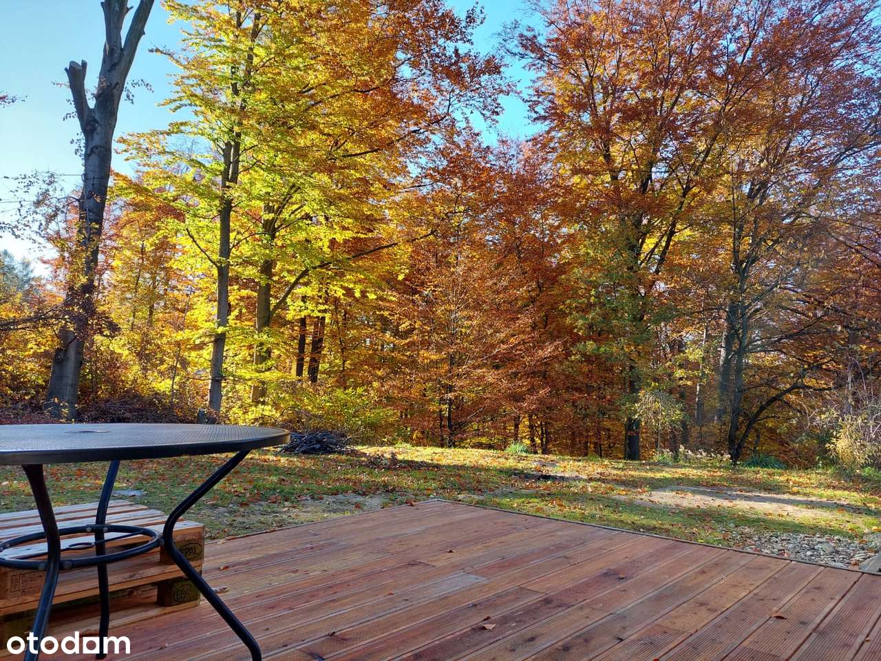 Dom jednorodzinny pod lasem-19