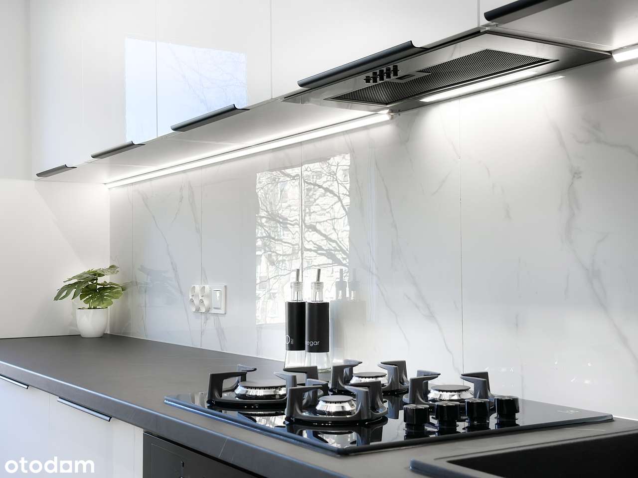 54m2 | 3 pokoje | WINDA |  Słoneczne | Po remoncie-7