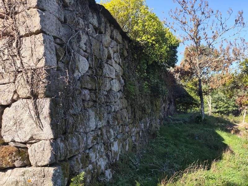 Quinta Caramulo com várias casas para turismo ou ferias - Grande imagem: 4/12