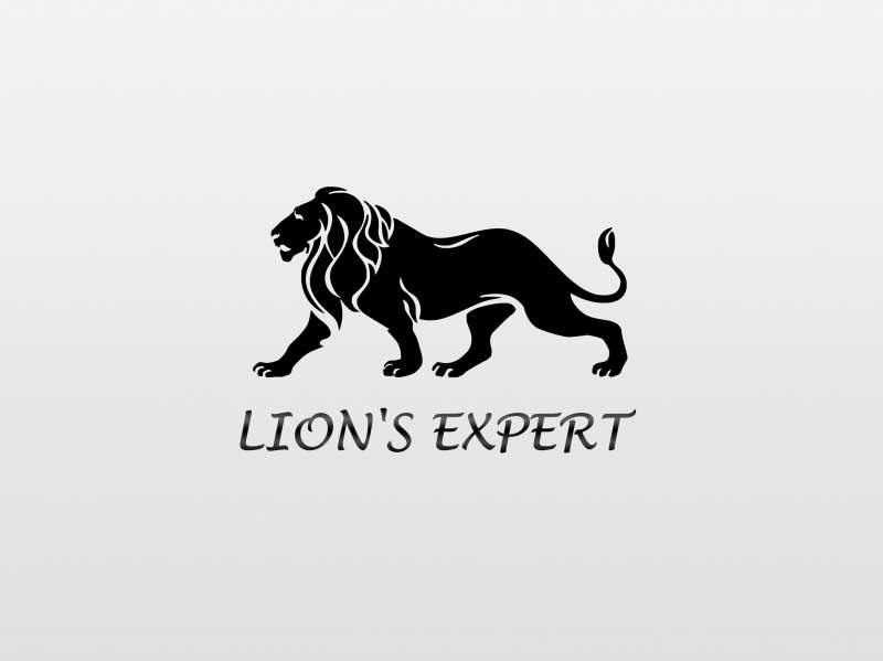 Deweloperzy: Lion's Expert - Poznań, wielkopolskie