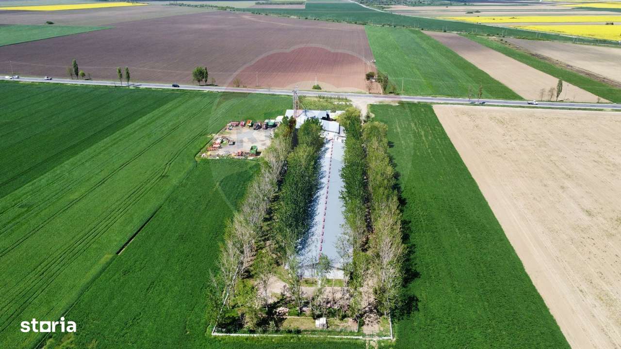 Ferma porcine la cheie - Imagine principală: 4/20