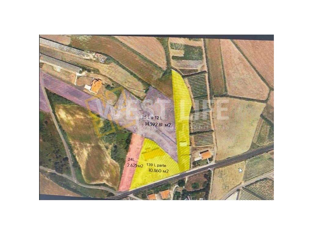 EXCLUSIVO WL - Terreno Rústico com vista mar - Excelente Localizaçã... - Grande imagem: 5/9