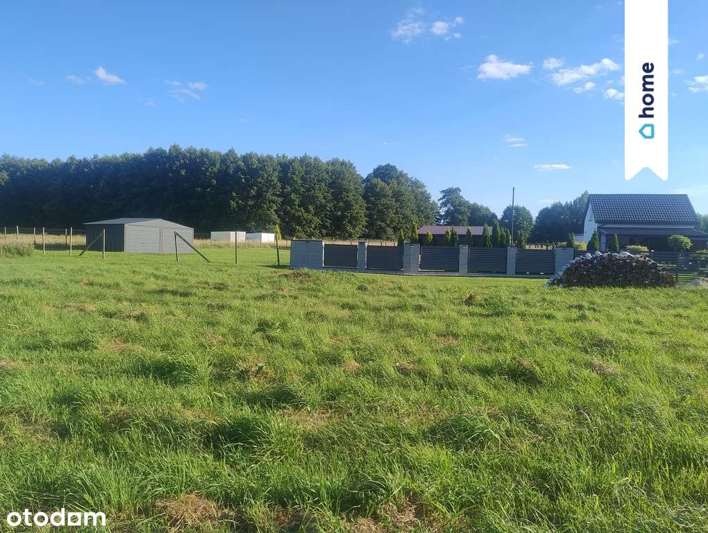 Budowlana działka Pędzewo - Pełny obrazek: 4/9