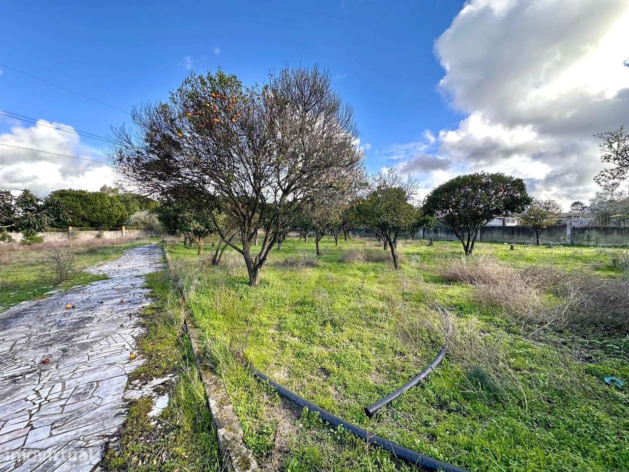 Terreno Urbano industrial com ruina  em  Palmela - Grande imagem: 5/12