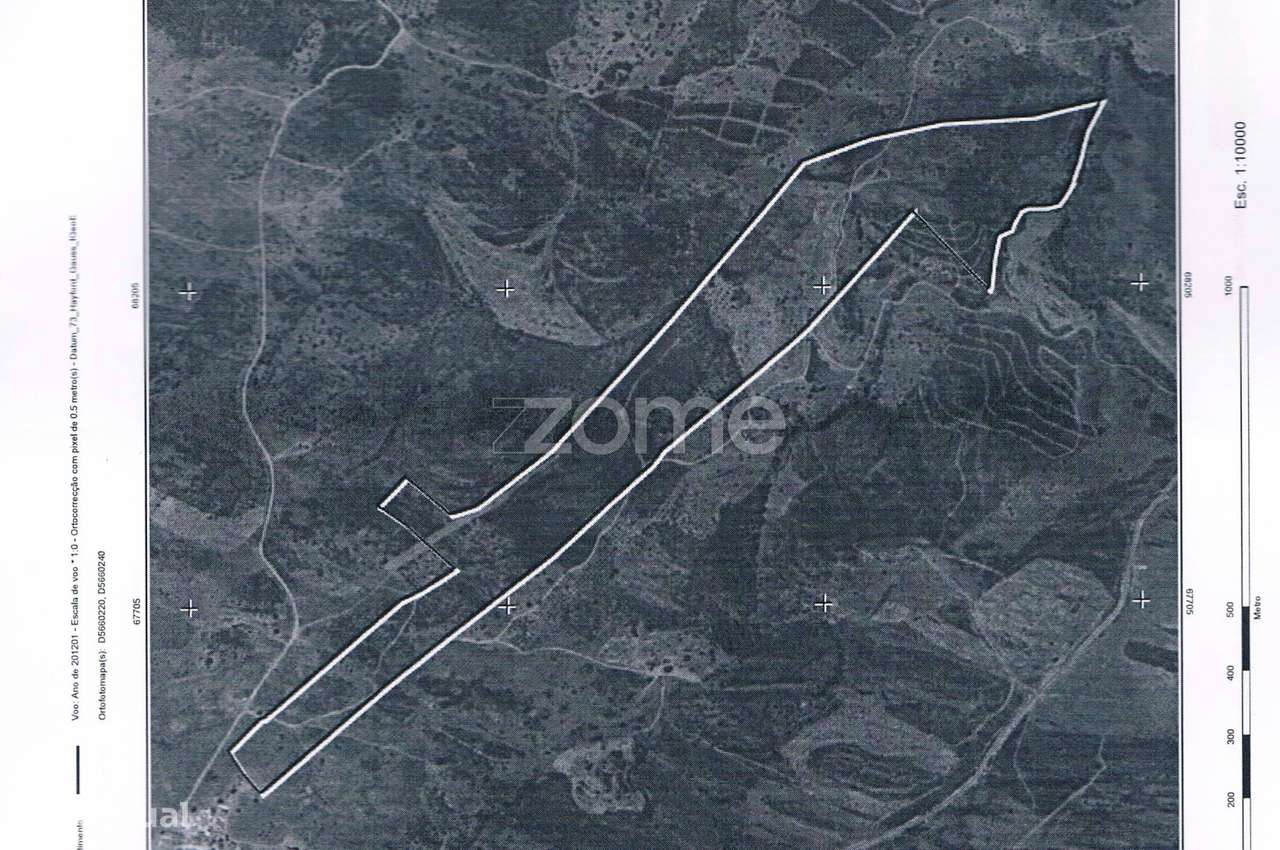 Herdade Vale do Guadiana 25HA-4