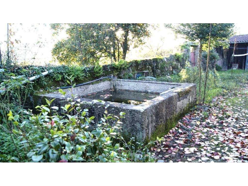 Quinta Tradicional com Elevado Potencial em Braga-33