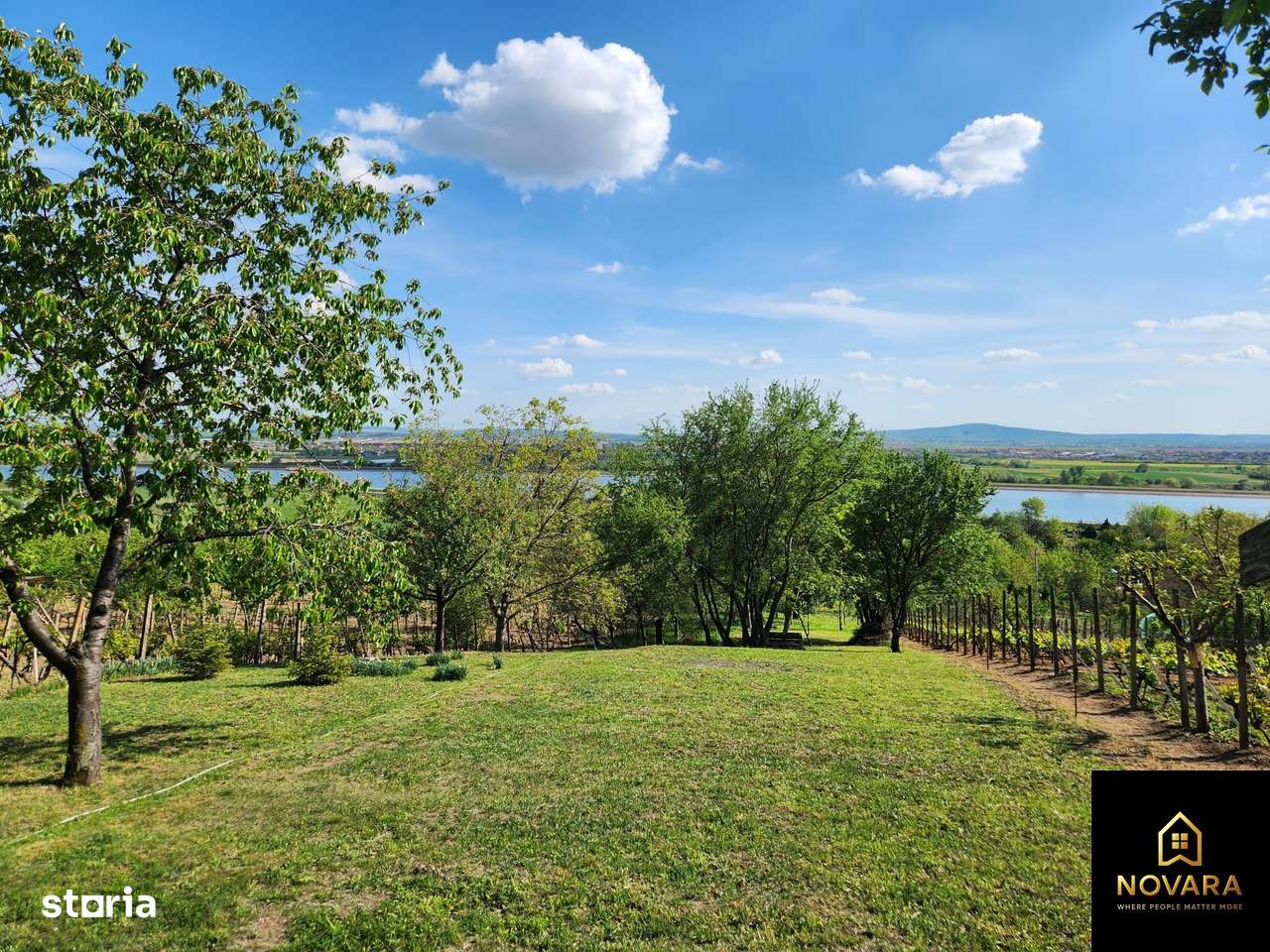 Teren Podgoria de vânzare - Imagine principală: 2/3