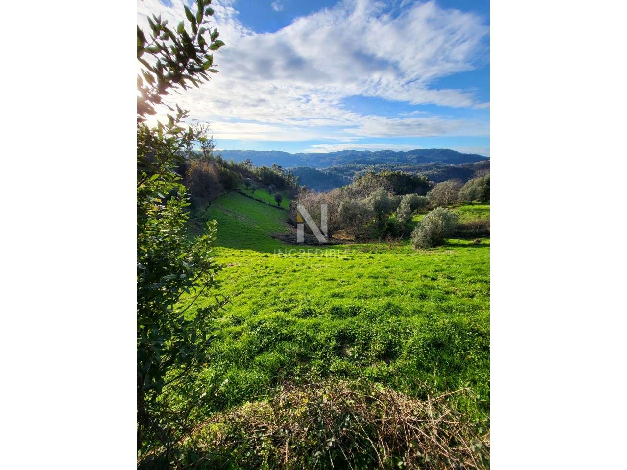Terreno Rústico  Venda em Rio Douro,Cabeceiras de Basto - Grande imagem: 3/10