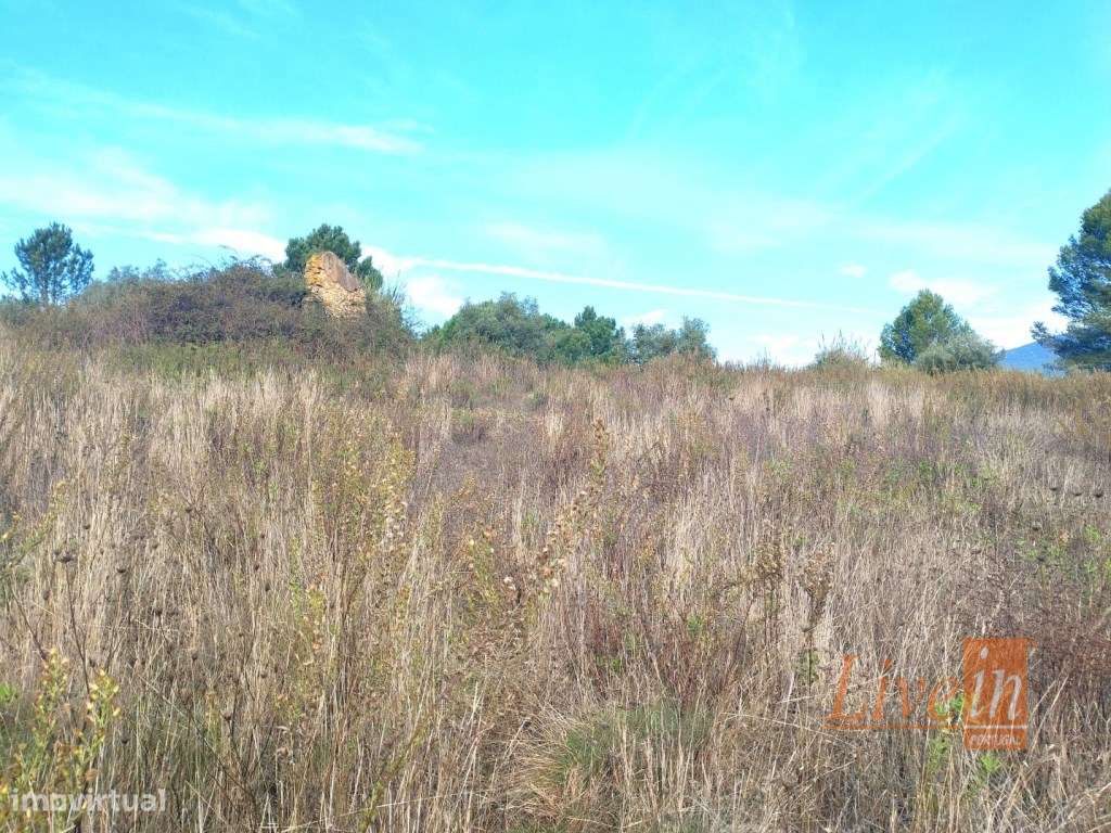 Terreno em Cabanas do Chão com 50280 m² - Grande imagem: 4/6