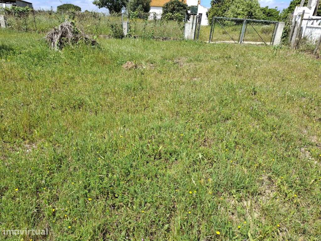 Quintinha nas Fazendas da Arriça - Branca - Grande imagem: 5/25