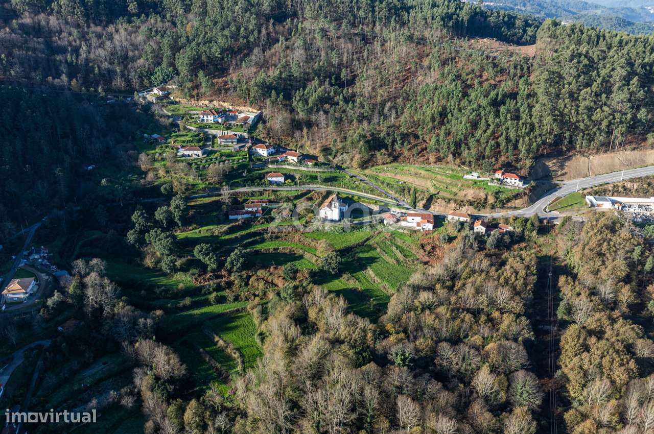 Quinta Sto Estevão - Arouca - Grande imagem: 4/18