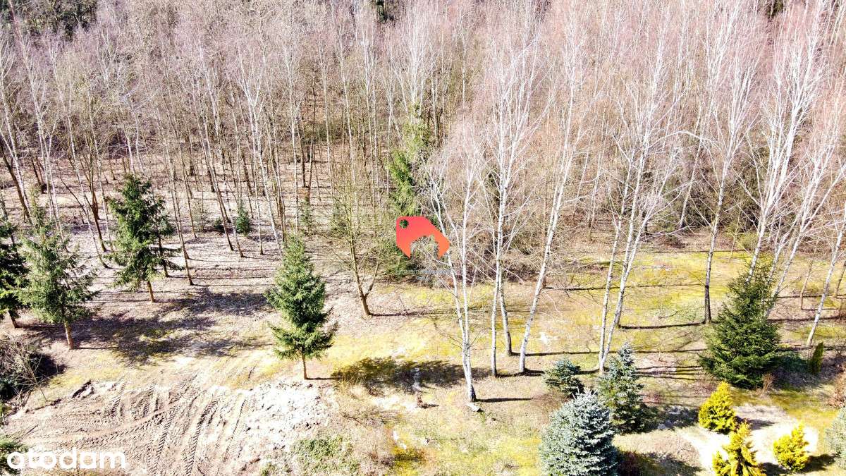 Urokliwe działki w Gzinie z WZ - Pełny obrazek: 5/11