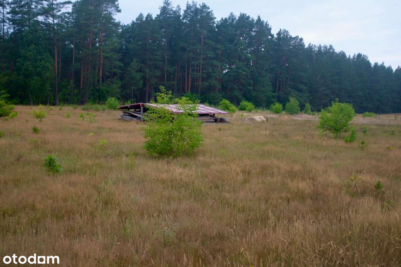 Działka we wsi Piaski z Pozwoleniem na budowę Puszcza Białowieska-12