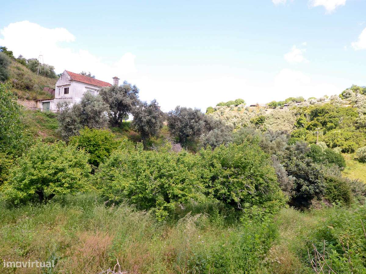 Quinta no Centro da Cidade - Grande imagem: 5/20