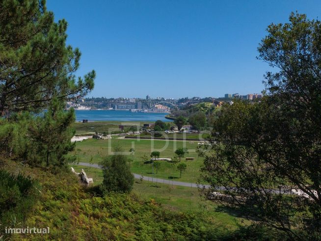 Sal D'Ouro Park-35