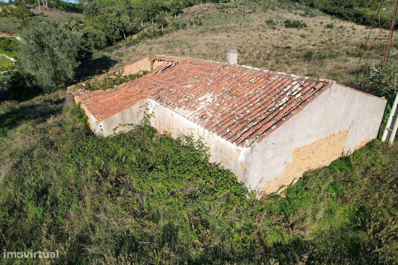 Quinta com ruína em S. Teotónio, Relva Grande - Grande imagem: 4/11