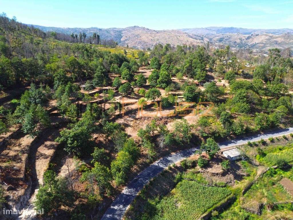 Quinta de 2ha com vista panorâmica - Freigil-22