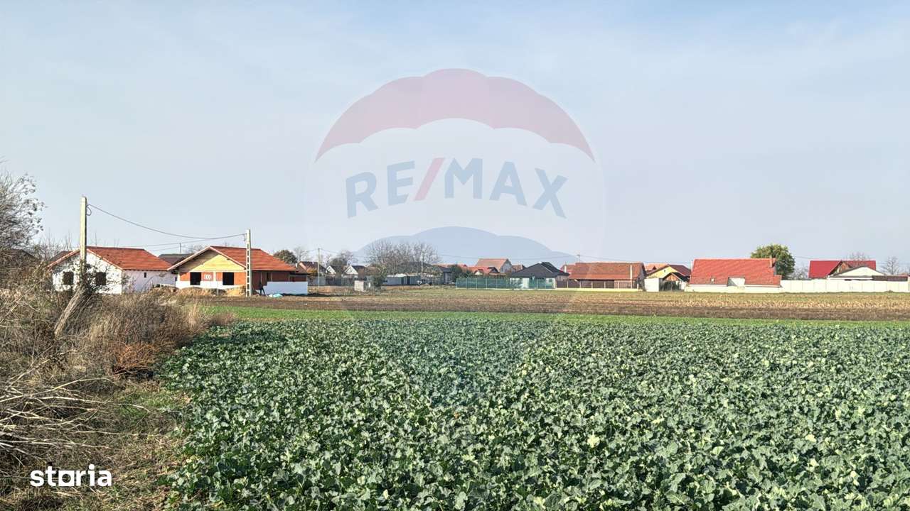 Teren intravilan de vânzare, 11.600 mp – Tărian, Girișul de Criș - Imagine principală: 4/7