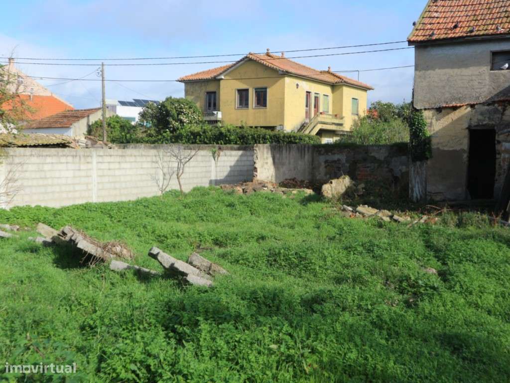 DOIS ARTIGOS - MURTOSA-11