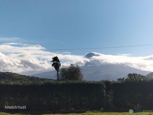 Venda Moradia - Grande imagem: 2/16