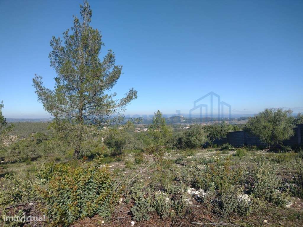 Terreno de 1505m2 urbanizável em Ortiga, Fátima com vista Castelo O...-8