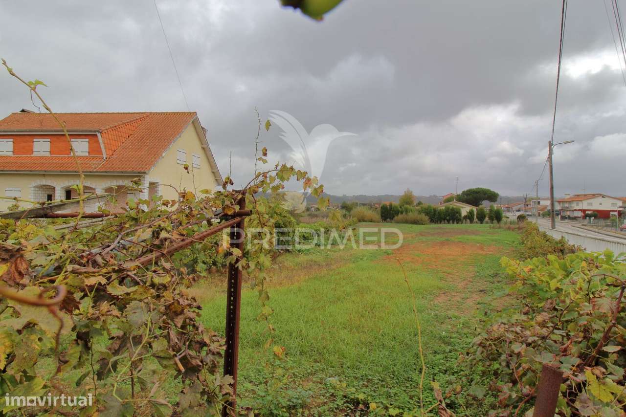 Terreno com 30 metros de frente para construção de moradia em Oiã - Grande imagem: 3/10