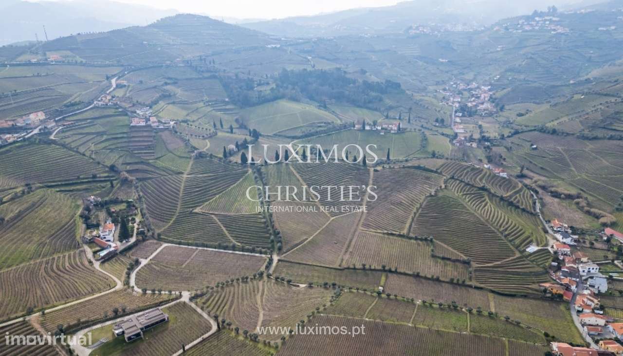 Quinta vinícola à venda no Alto Douro Vinhateiro, Douro Valley - Grande imagem: 2/21