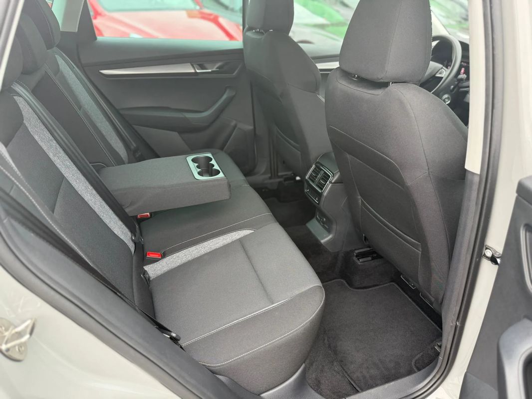 Skoda Karoq 2.0 TDI SCR 4x4 DSG Drive 125 - 15