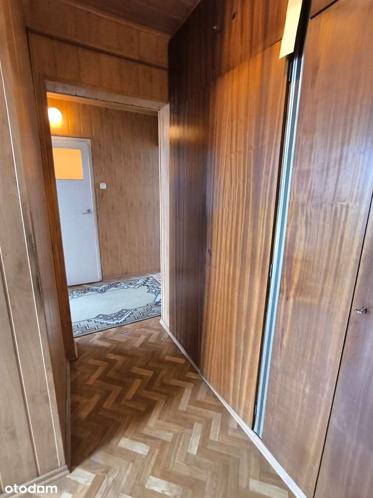 2 pok 43m2, rozkładowe, VIp, Górna ok pl.Niepodległości, Politechniki-8