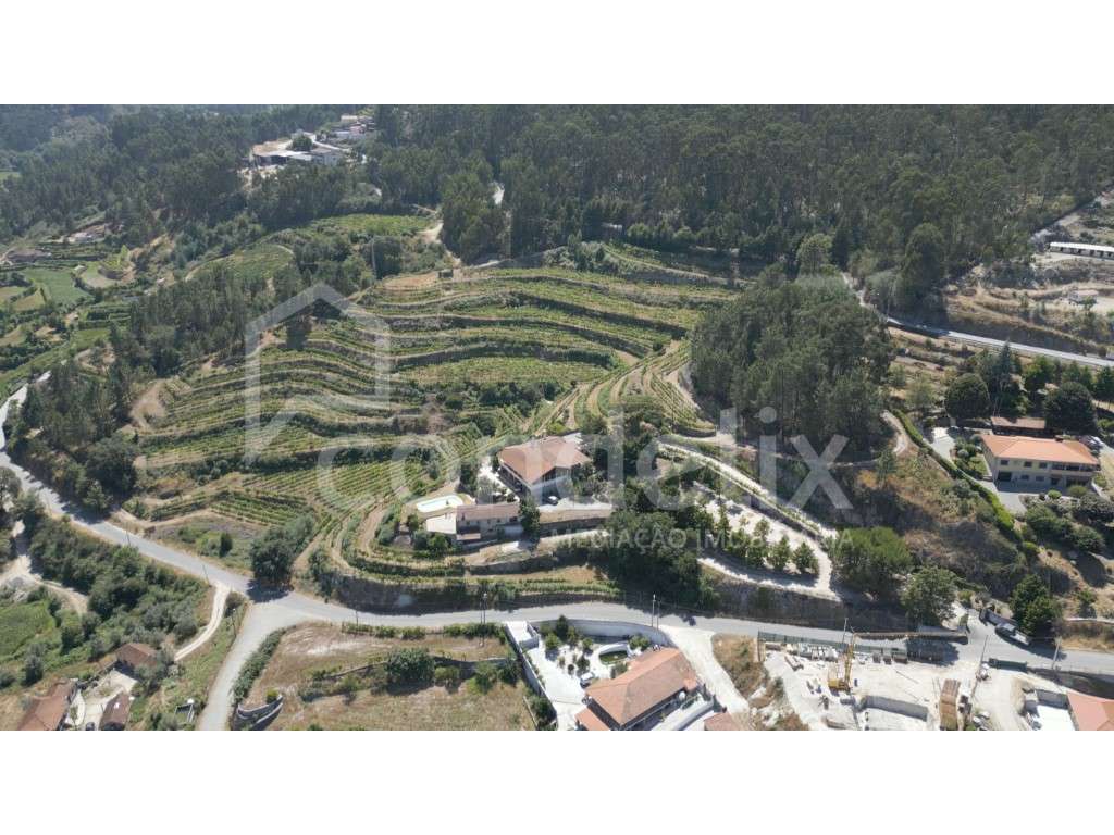 Quinta - Herdade Amarante - Grande imagem: 4/60