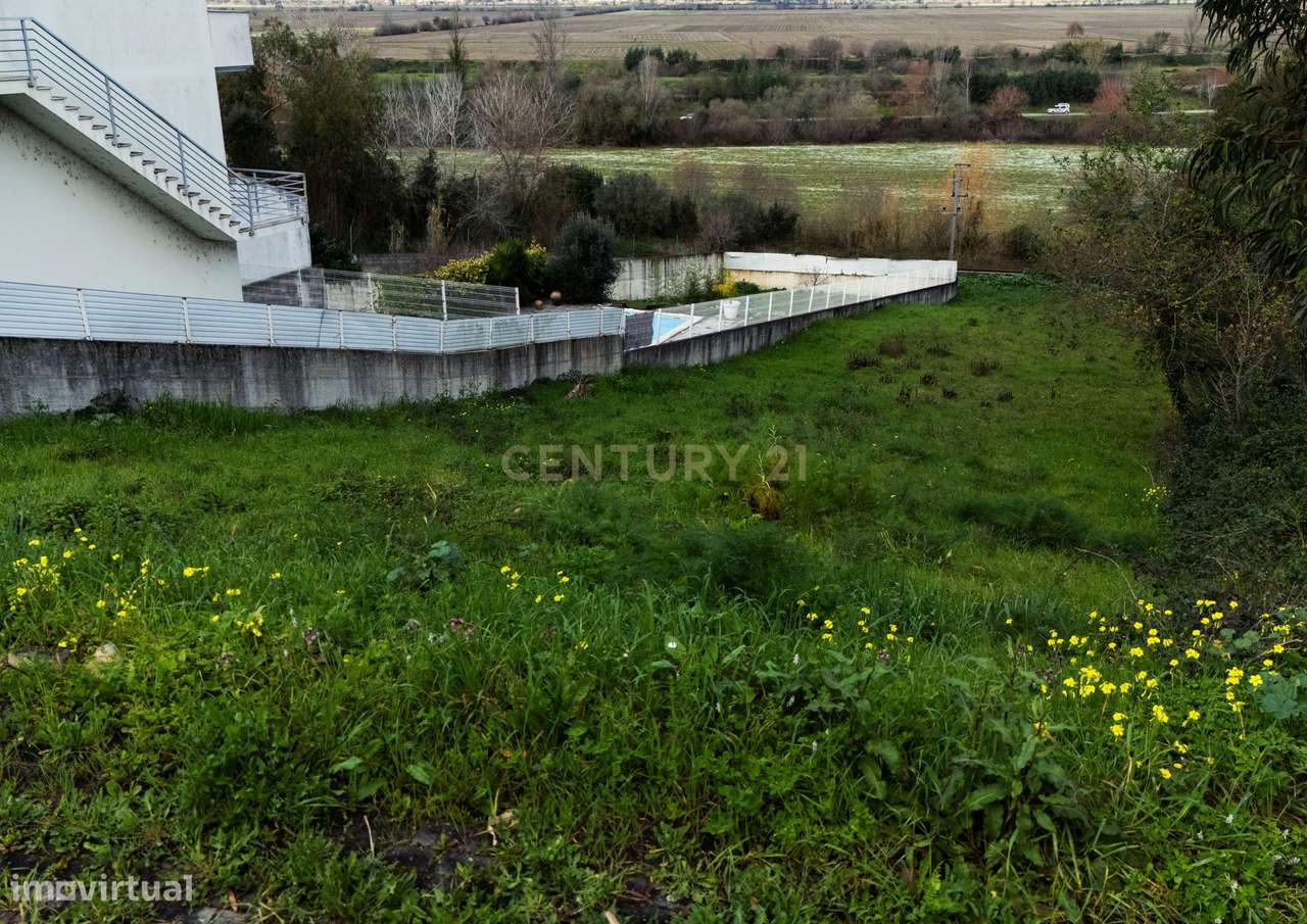 Terreno Urbano (Montemor-o-Velho) - Grande imagem: 4/9