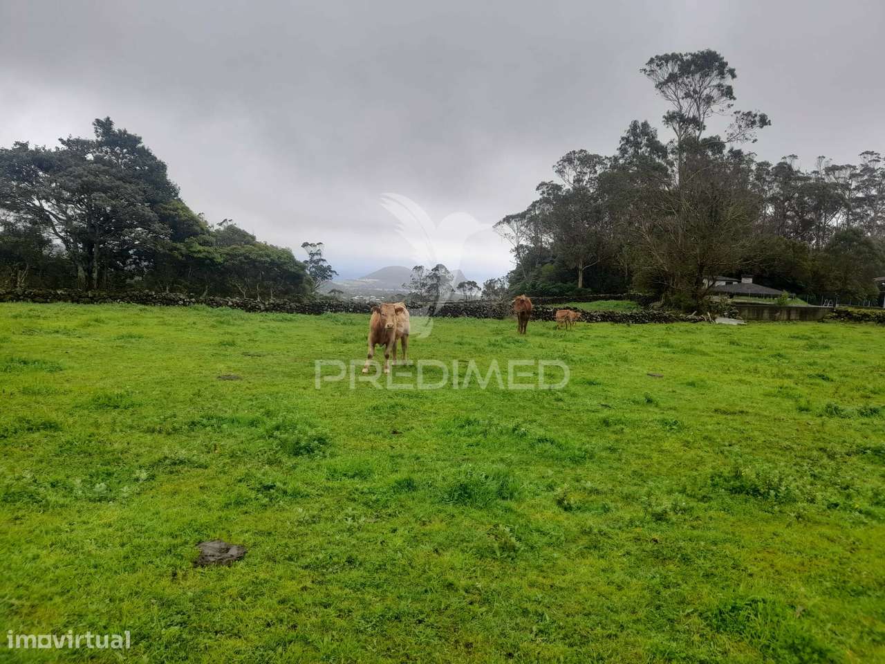 Terreno - São Bartolomeu - Grande imagem: 5/15