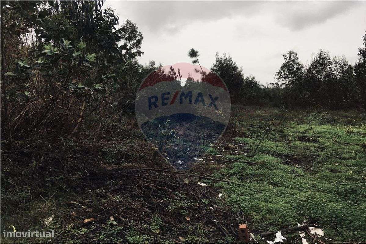 Terreno  para venda - Grande imagem: 2/5