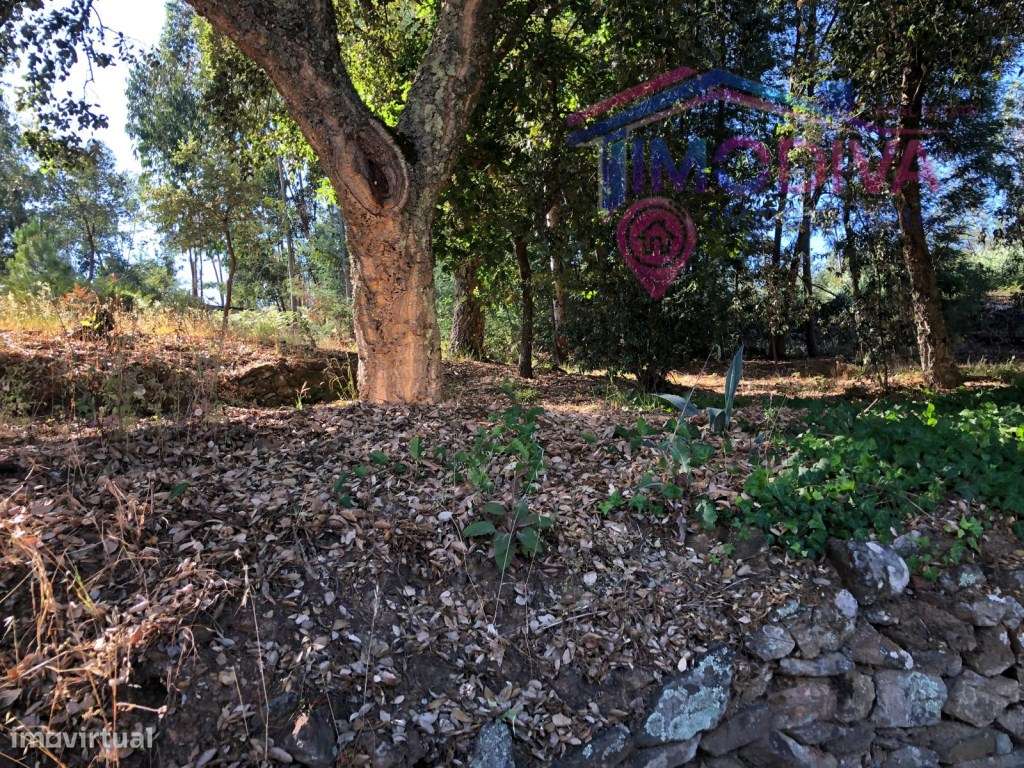 Arrecadação e terreno em Castanheira de Pera-14