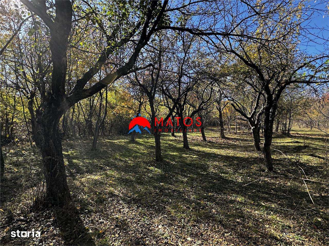 Teren intravilan 6.842 mp de vanzare in Poiana Campina, vedere placuta-5