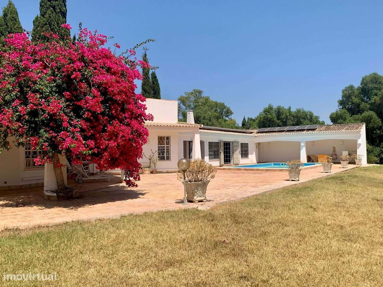 VIDA NO CAMPO - CASA DE FAMÍLIA COM 3 QUARTOS E 1 ESTÚDIO PARA VENDA - Grande imagem: 4/43