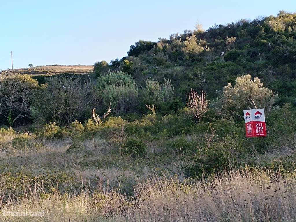 Terreno Rústico, Arruda dos Vinhos - Grande imagem: 5/5