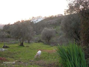 Vendo terreno urbano junto à Solum, Coimbra, para construção. - Grande imagem: 4/8