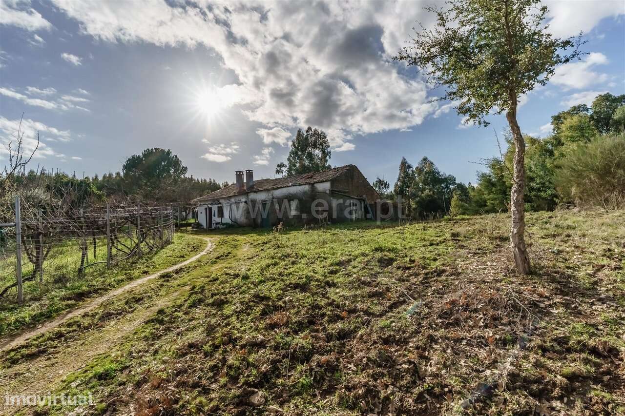 Terreno com ruina / Fundão, Fatela - Grande imagem: 5/18