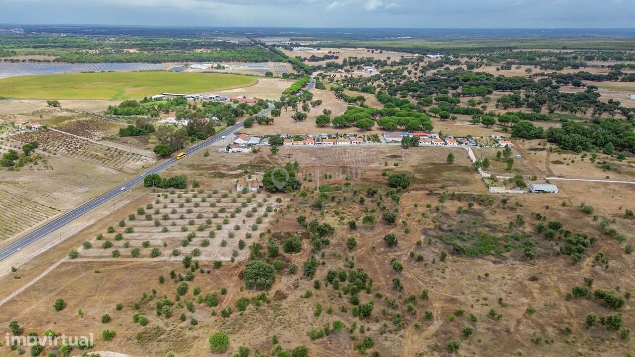 Quinta do Sol - Pegões-49