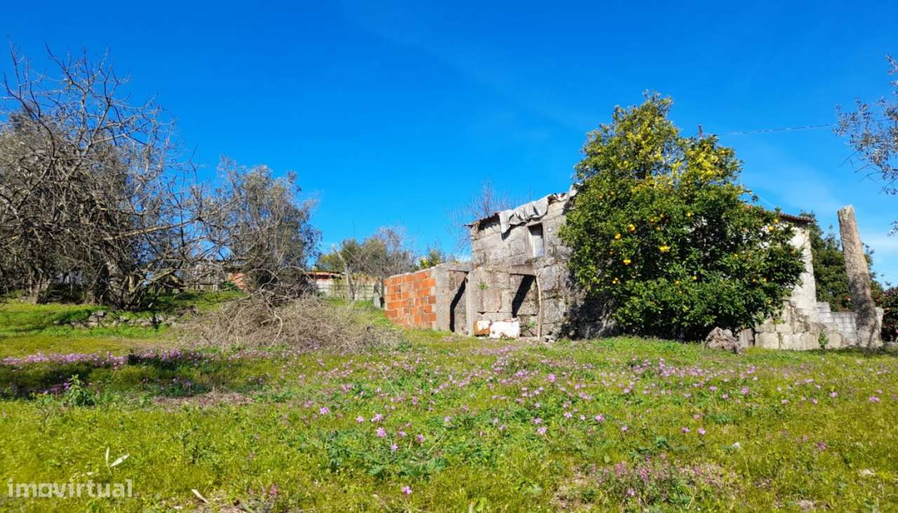 Venda Moradia V2 em pedra, Lomba, Amarante - Grande imagem: 5/28