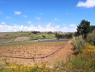 Lotes de Terreno situados entre Santa Cruz e Santa Rita