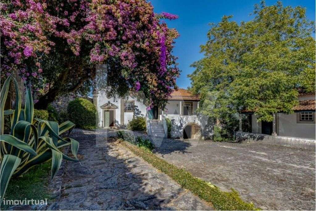 Excelente Quinta no Douro, casa com pedra de armas, fim do século XVII - Grande imagem: 4/54