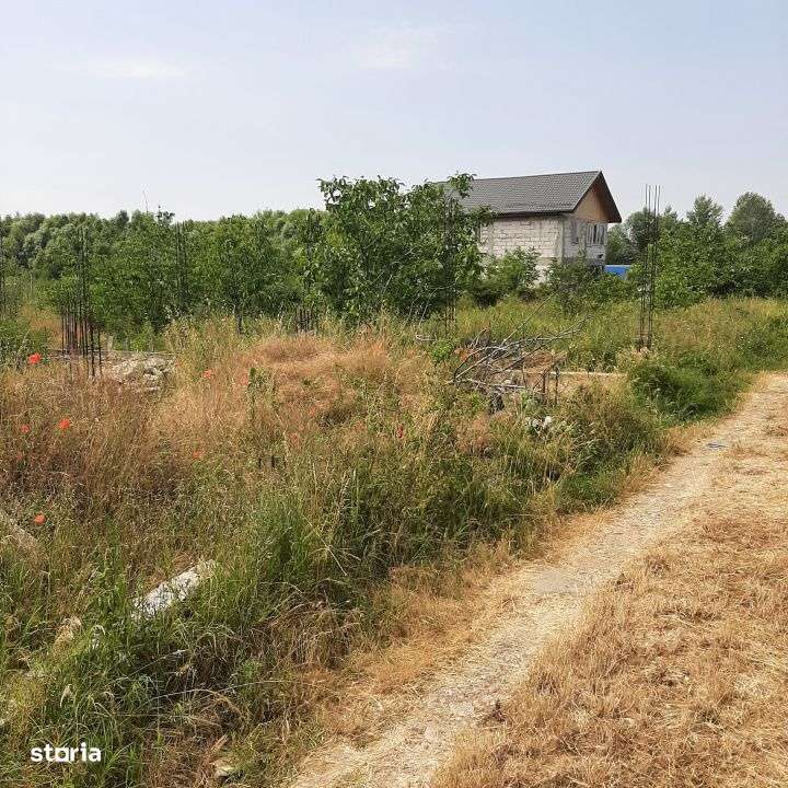 Teren 500 mp, Domnesti, str. Salciei - Imagine principală: 2/4
