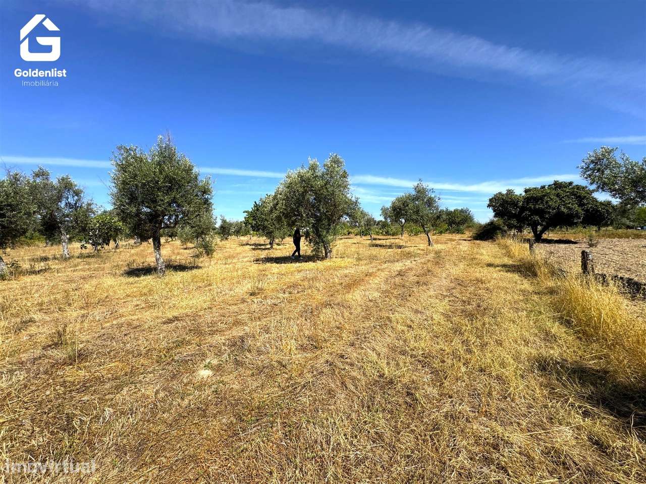 Quinta  Venda em Lardosa,Castelo Branco-42