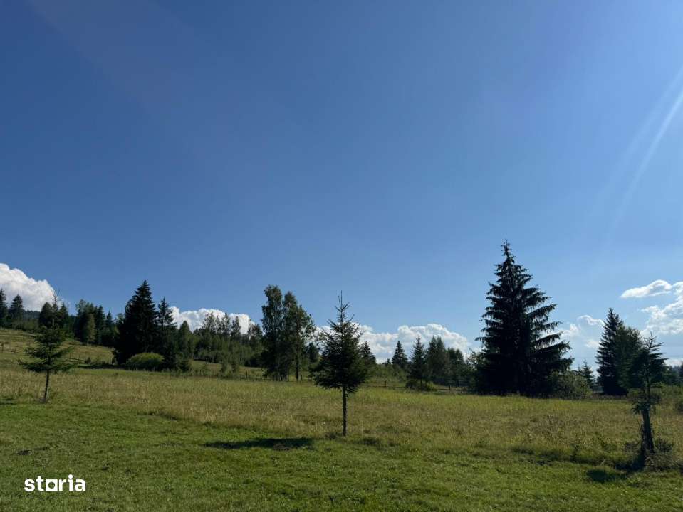 Vanzare 33400 parcelat- 18 loturi - Plaiul Sarului la sosea- microdezv - Imagine principală: 5/18