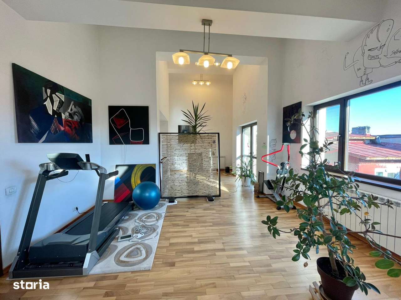 Casa - Damaroaia, Expozitiei, Herastrau-5