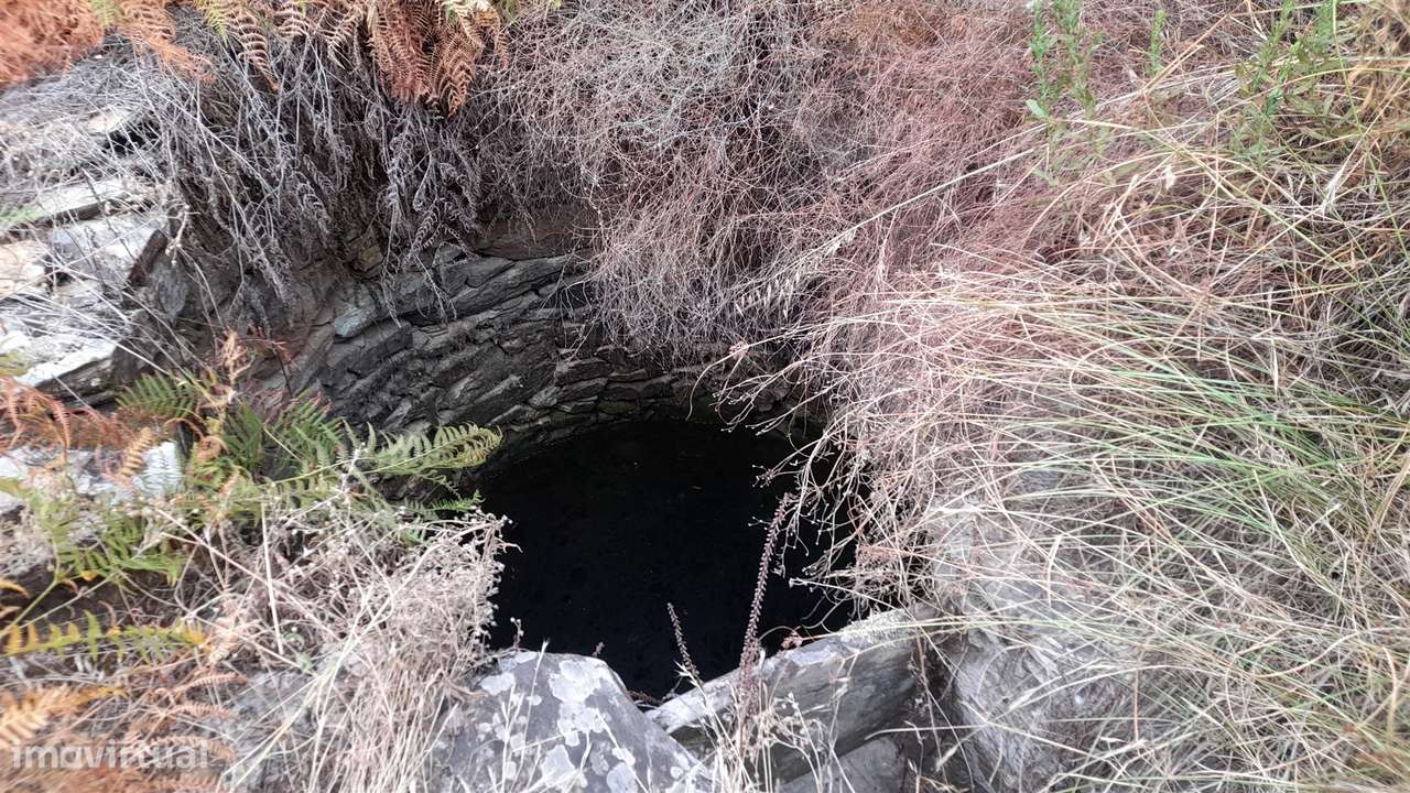 Terreno Rústico  Venda em Santo André das Tojeiras,Castelo Branco - Grande imagem: 4/9