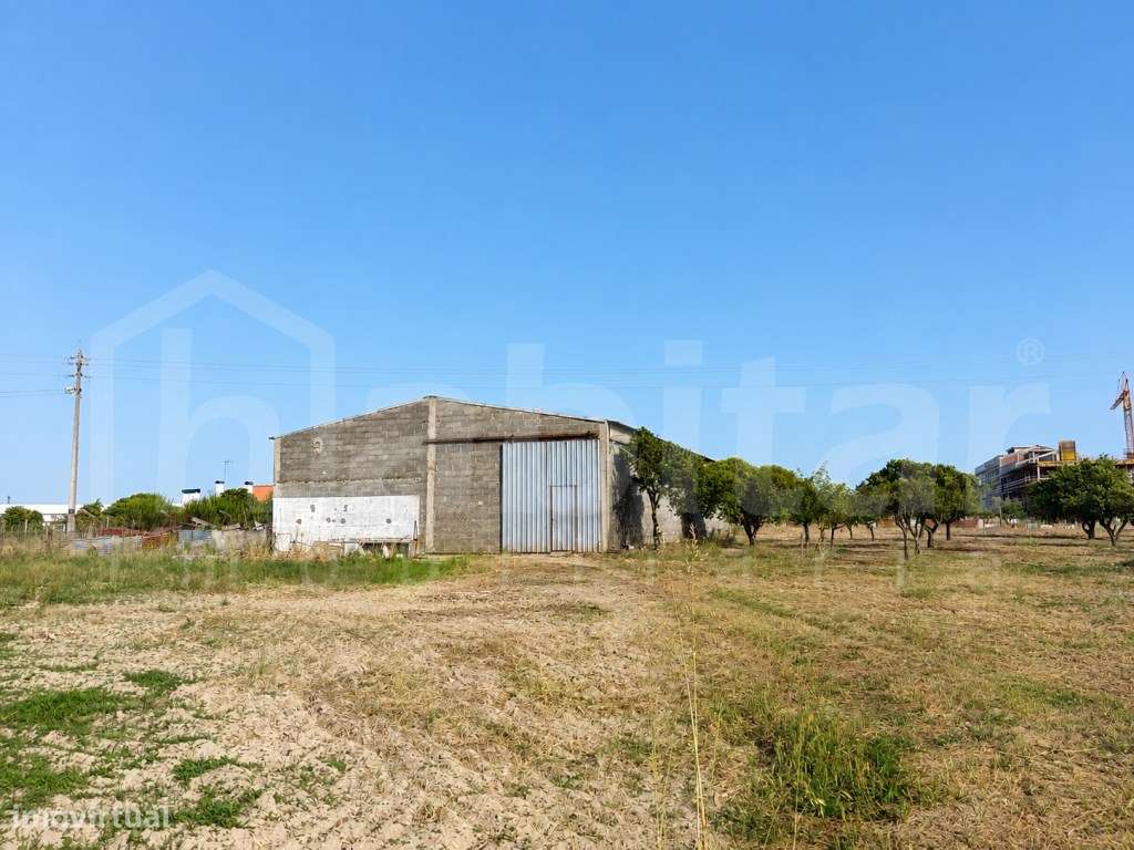 Terreno Urbano com 3.893 m², com Armazém com 288 m² - Benavente-3