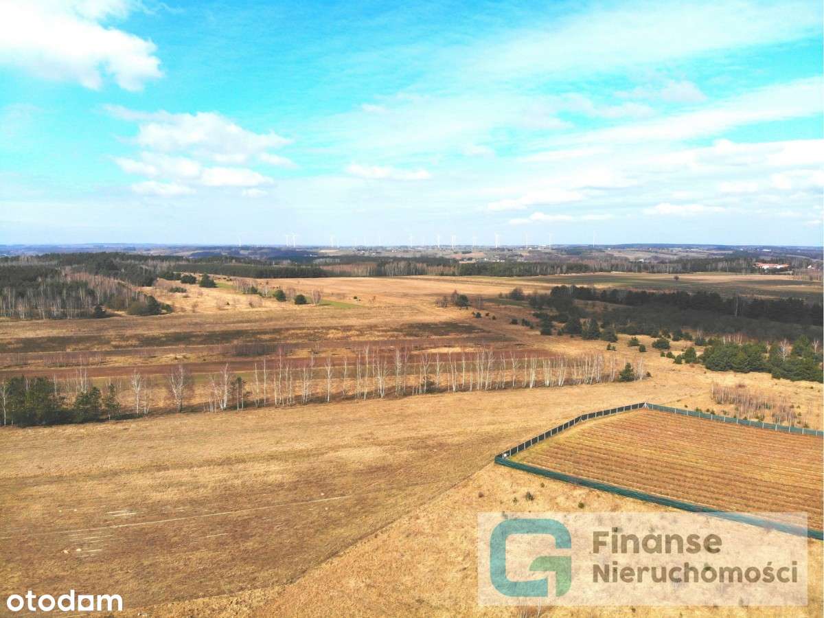 Działki budowlana i produkcyjna pod Rawą Maz. - Pełny obrazek: 5/6